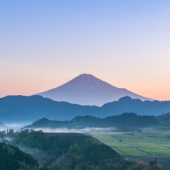 15位のイメージ