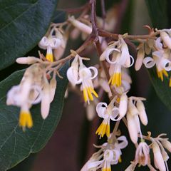 22位のイメージ