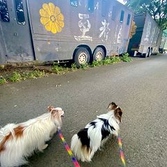 19位のイメージ