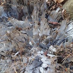 25位のイメージ