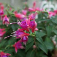 142位のイメージ