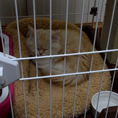 17位のイメージ