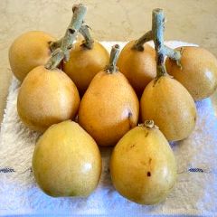 36位のイメージ