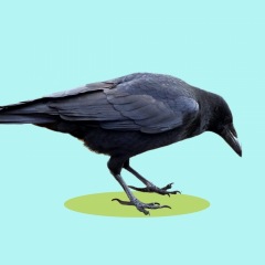 50位のイメージ