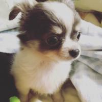 20位のイメージ