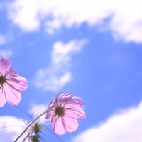 23位のイメージ