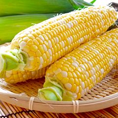 19位のイメージ