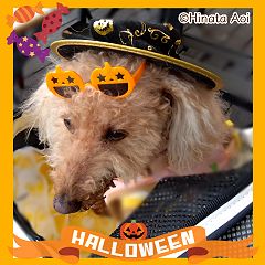 91位のイメージ