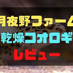 75位のイメージ