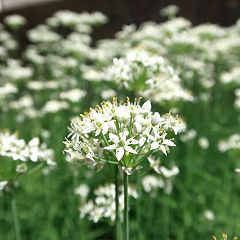 35位のイメージ