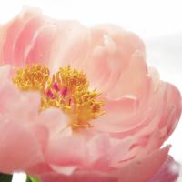 108位のイメージ