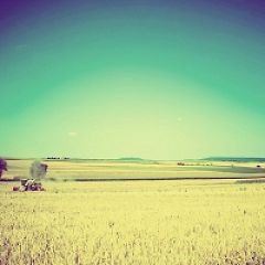 185位のイメージ