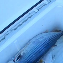 20位のイメージ