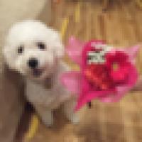 11位のイメージ