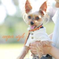 76位のイメージ