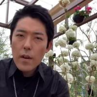 16位のイメージ