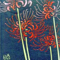 14位のイメージ