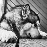 23位のイメージ