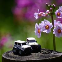 16位のイメージ