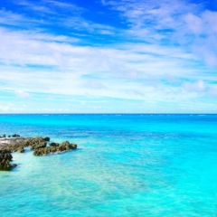 77位のイメージ