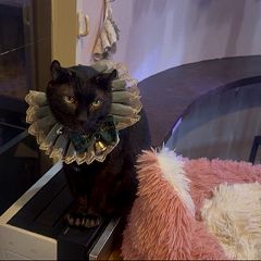 22位のイメージ