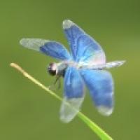 142位のイメージ