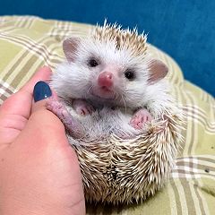 19位のイメージ