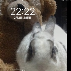 85位のイメージ