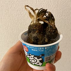 24位のイメージ