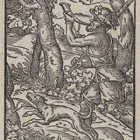 41位のイメージ