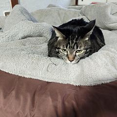 131位のイメージ