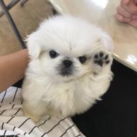 95位のイメージ