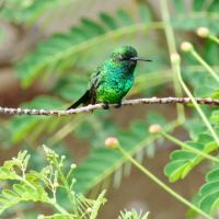 22位のイメージ