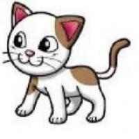 24位のイメージ