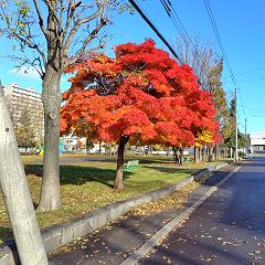 25位のイメージ