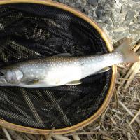 12位のイメージ