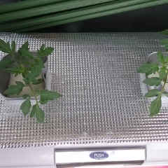 34位のイメージ