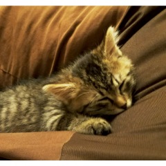 72位のイメージ