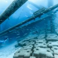 13位のイメージ