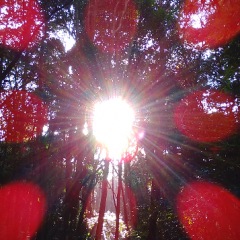 223位のイメージ