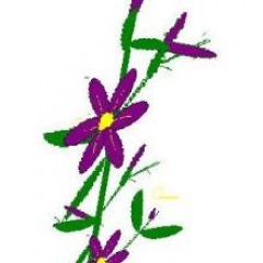 19位のイメージ