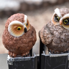 14位のイメージ