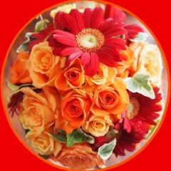 25位のイメージ