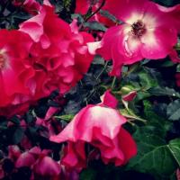 23位のイメージ