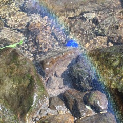 49位のイメージ