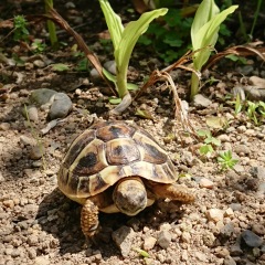 91位のイメージ