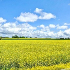 102位のイメージ