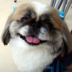 75位のイメージ