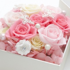 11位のイメージ