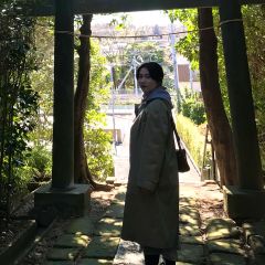 25位のイメージ